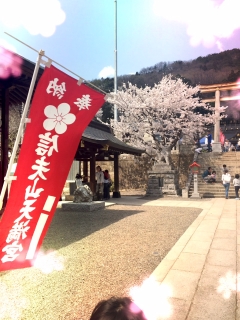 信夫山1